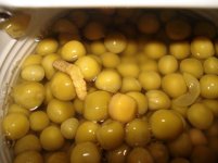 DSC05721.jpg
