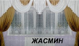 jasmin.jpg