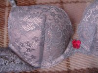 IMG_2873.jpg