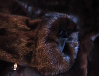 IMG_1825.jpg