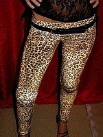 1532740_w200_h200_leopard.jpg