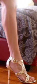 guess legs.jpg