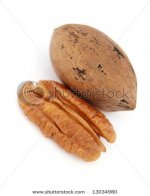 stock-photo-pecan-on-a-white-background-13034980.jpg