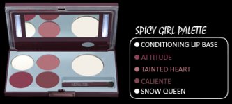 Spicy-Girl-Palette.jpg