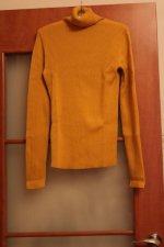 водолазка горчичная.jpg