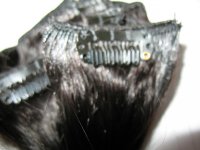 z_9b1303ae.jpg