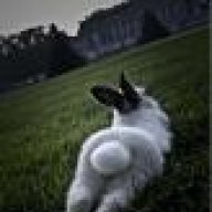 Дыркавголове