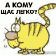 Yank