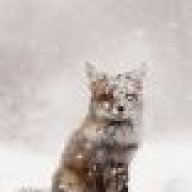 НадяДимина