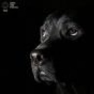 Ольгунечка