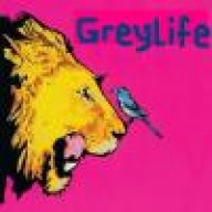 greylife