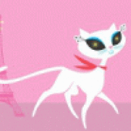 Sunny Cat