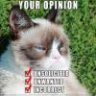 Grumpy Cat