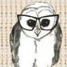 *Owl*