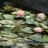 lusinda-