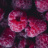 Rain_Drop