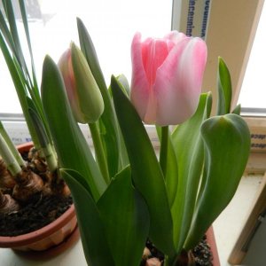 Изображение 001