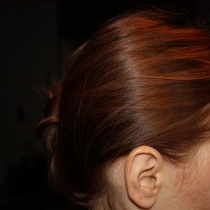 IMG 7142