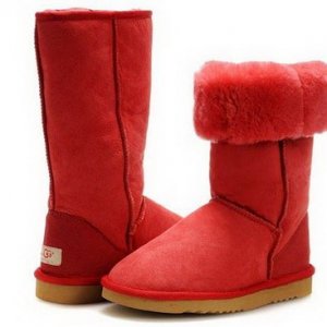 UGG 5815 Classic boots 01