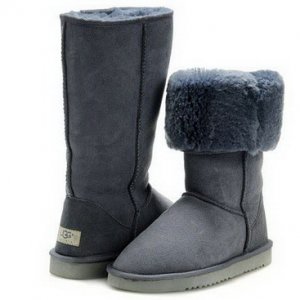 UGG 5815 Classic boots 02