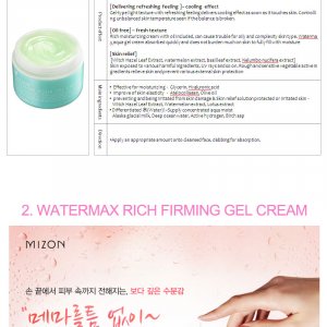 Mizon Watermax Aqua Gel Cream