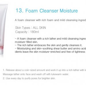 laneige Foam Cleanser Moisture