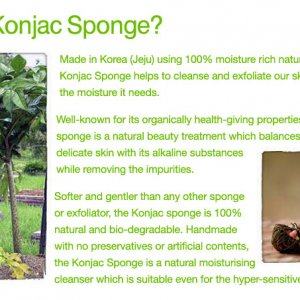 Revenbath Konjac Sponges2