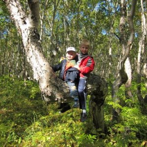 В каменно - березовом лесу