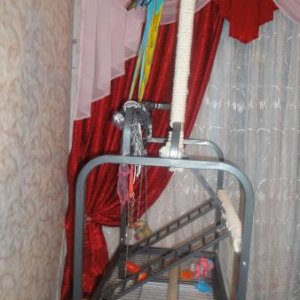 Аруша на стенде 001