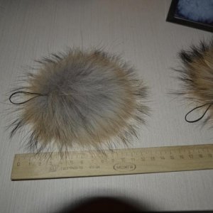 DSC00012