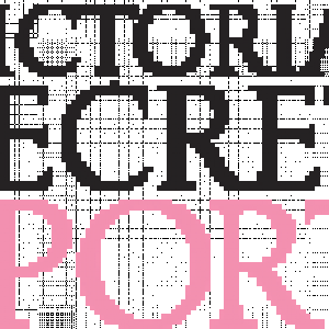 vs sport logo