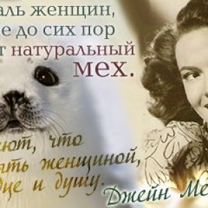 Джейн Медоуз