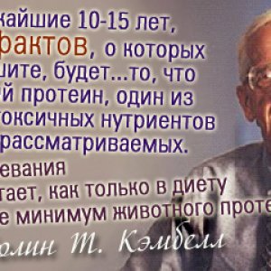 Доктор Колин Т. Кэмбелл