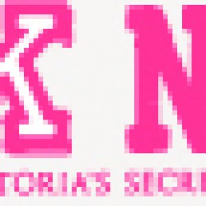 Pink Nation logo 2014