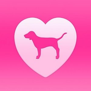 victorias secret dog logo