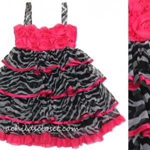 4T Girl`s cute party dress: Zebra and Pink - $75