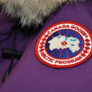 Canada Goose Whistler Parka - цвет Arctic Dusk