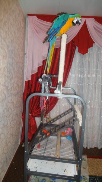 Аруша на стенде 001