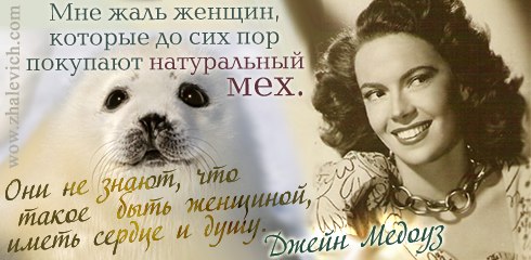 Джейн Медоуз