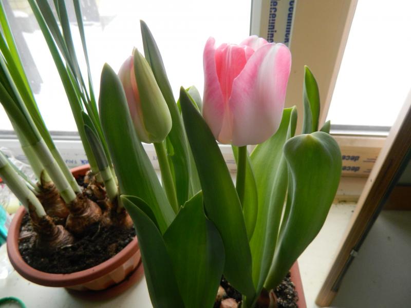 Изображение 001