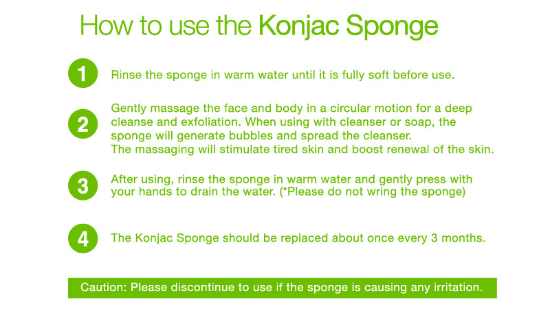 Revenbath Konjac Sponges11