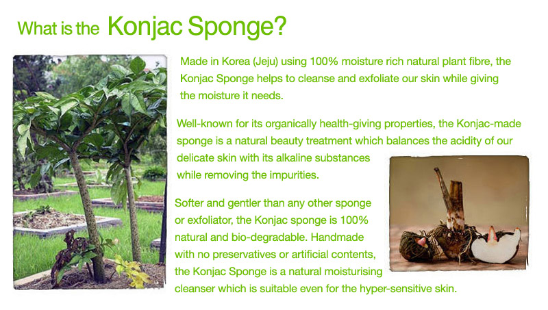 Revenbath Konjac Sponges2