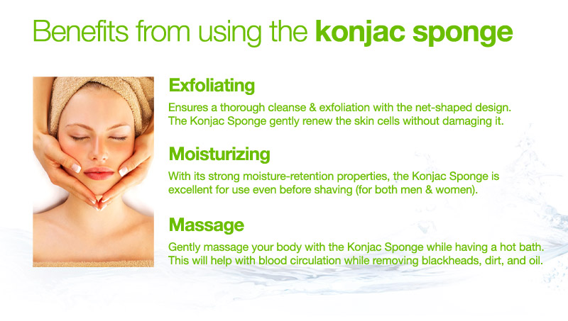 Revenbath Konjac Sponges9