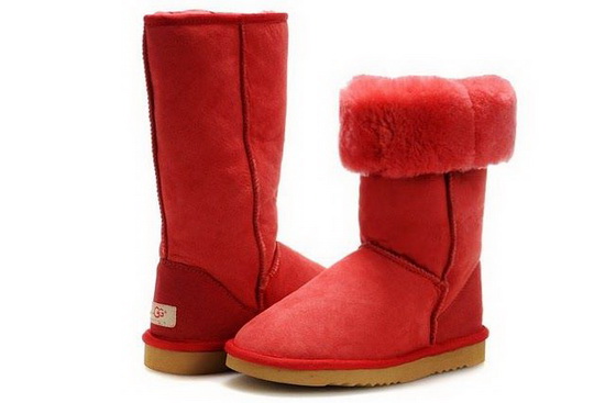 UGG 5815 Classic boots 01