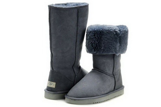 UGG 5815 Classic boots 02