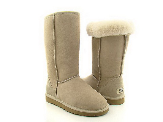 UGG 5815 Classic boots 06