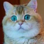 Морскаямаришка