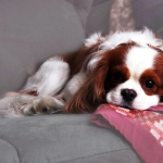 Ольга_Жукова