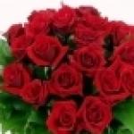 Лариса-лиса