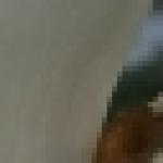 Наталья Пинаева